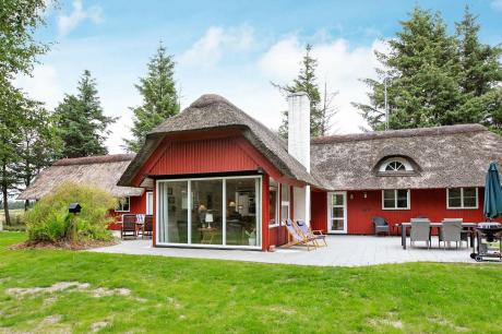 Ferienhaus Denemarken - : 