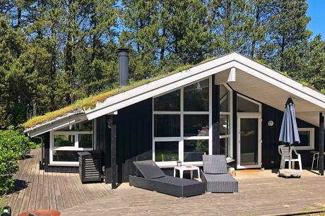 Holiday home Denmark - : 