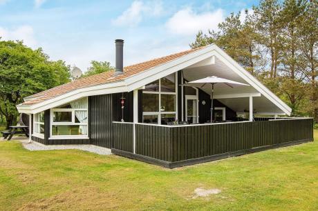 Holiday home Denmark - : 