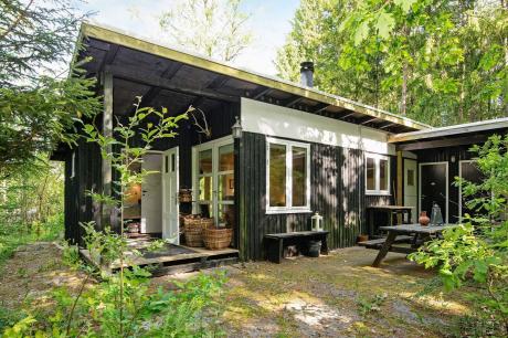 Holiday home Denmark - : 