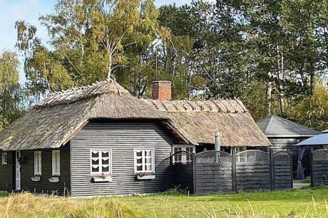 Ferienhaus Denemarken - : 