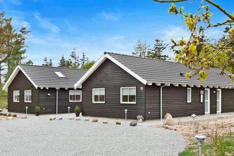 Holiday home Denmark - : 