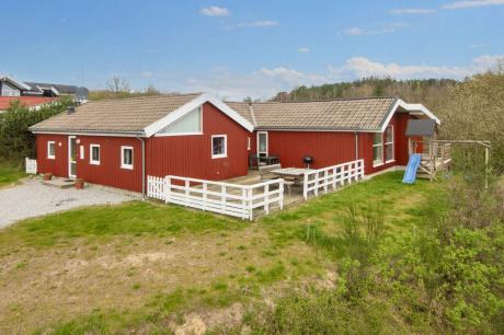 Holiday home Denmark - : 