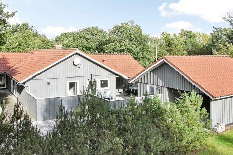 Vakantiehuis Denemarken - : 