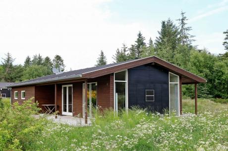 Holiday home Denmark - : 