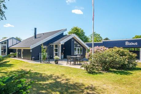 Vakantiehuis Denemarken - : 