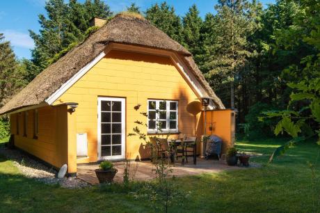 Ferienhaus Denemarken - : 