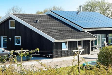 Holiday home Denmark - : 