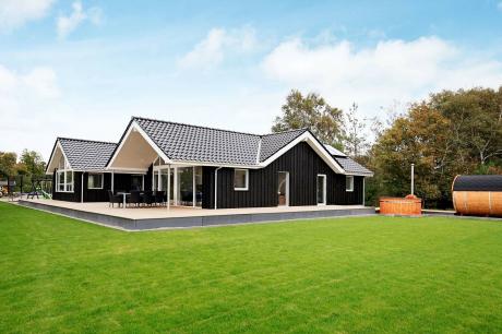 Holiday home Denmark - : 