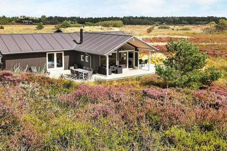 Holiday home Denmark - : 