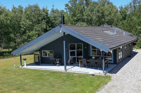 Holiday home Denmark - : 