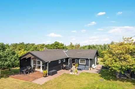 Holiday home Denmark - : 