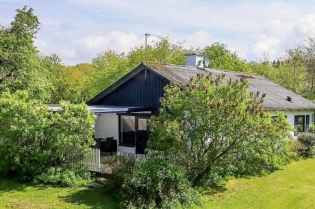 Ferienhaus Denemarken - : 