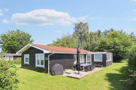 Vakantiehuis Denemarken - : 