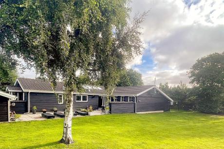 Holiday home Denmark - : 