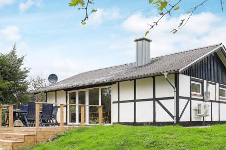 Holiday home Denmark - : 