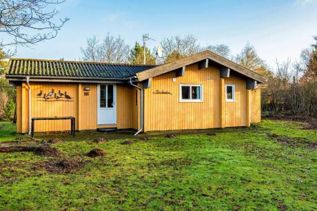 Holiday home Denmark - : 