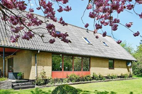 Vakantiehuis Denemarken - : 