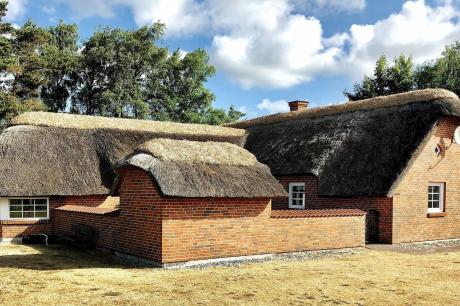 Ferienhaus Denemarken - : 