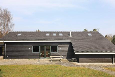 Holiday home Denmark - : 