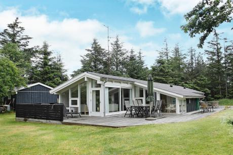 Holiday home Denmark - : 