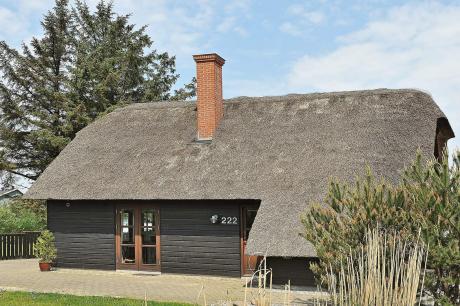 Ferienhaus Denemarken - : 