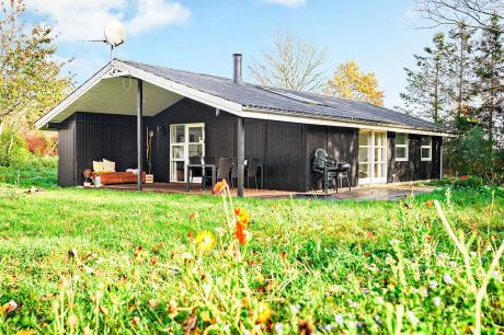 Holiday home Denmark - : 