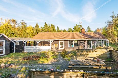 Holiday home Denmark - : 