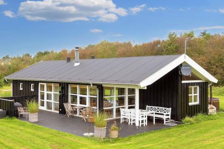 Holiday home Denmark - : 