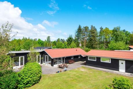 Holiday home Denmark - : 