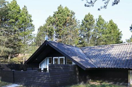 Holiday home Denmark - : 