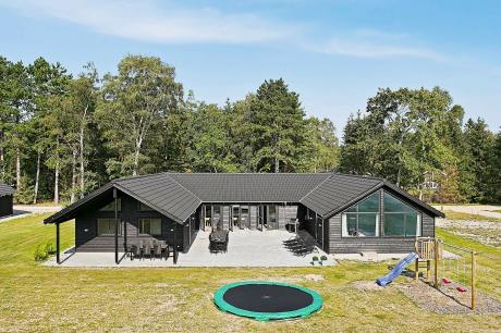 Holiday home Denmark - : 