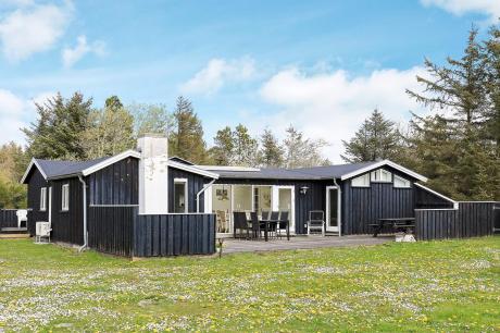 Holiday home Denmark - : 