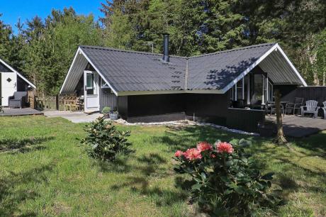 Holiday home Denmark - : 