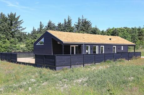 Holiday home Denmark - : 