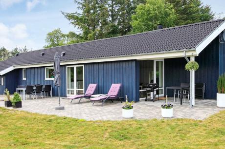 Vakantiehuis Denemarken - : 