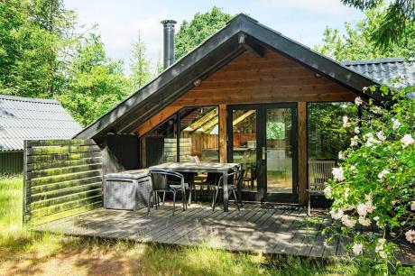 Holiday home Denmark - : 