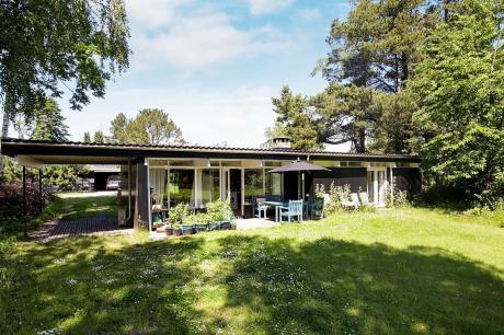 Holiday home Denmark - : 