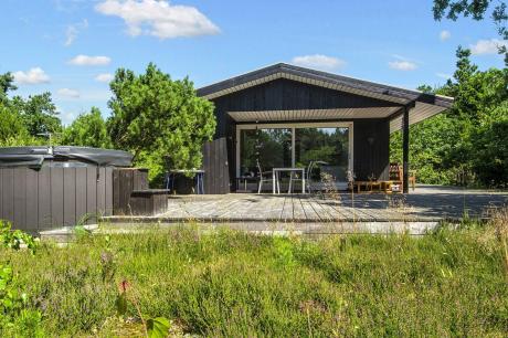 Holiday home Denmark - : 