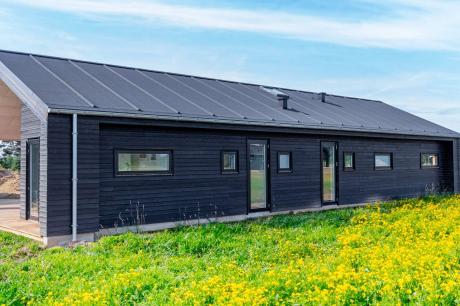 Holiday home Denmark - : 