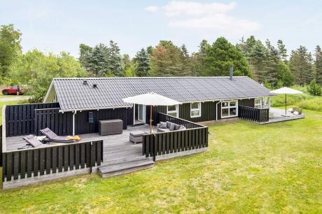 Holiday home Denmark - : 