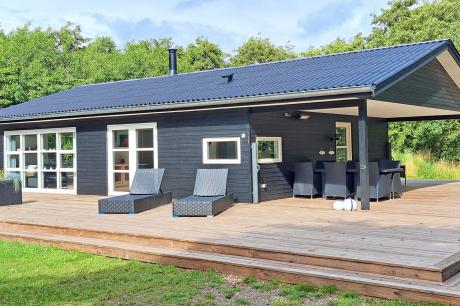 Holiday home Denmark - : 