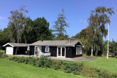 Vakantiehuis Denemarken - : 