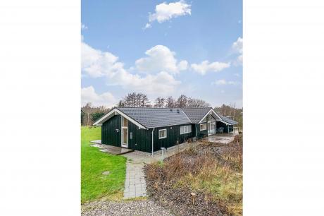 Ferienhaus Denemarken - : 