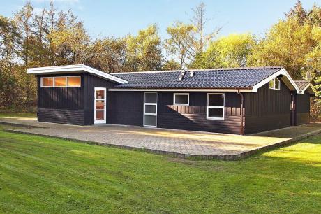 Holiday home Denmark - : 