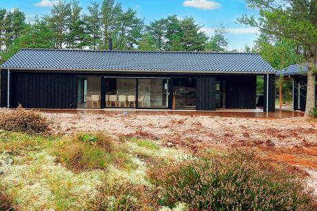 Holiday home Denmark - : 