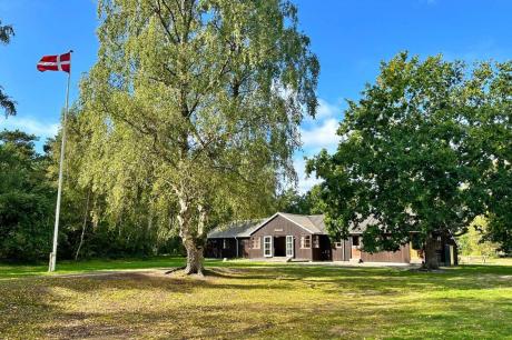 Holiday home Denmark - : 