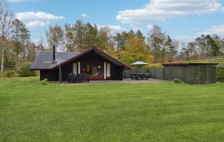 Holiday home Denmark - : 