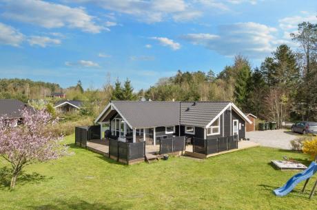 Holiday home Denmark - : 