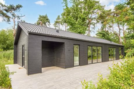 Holiday home Denmark - : 